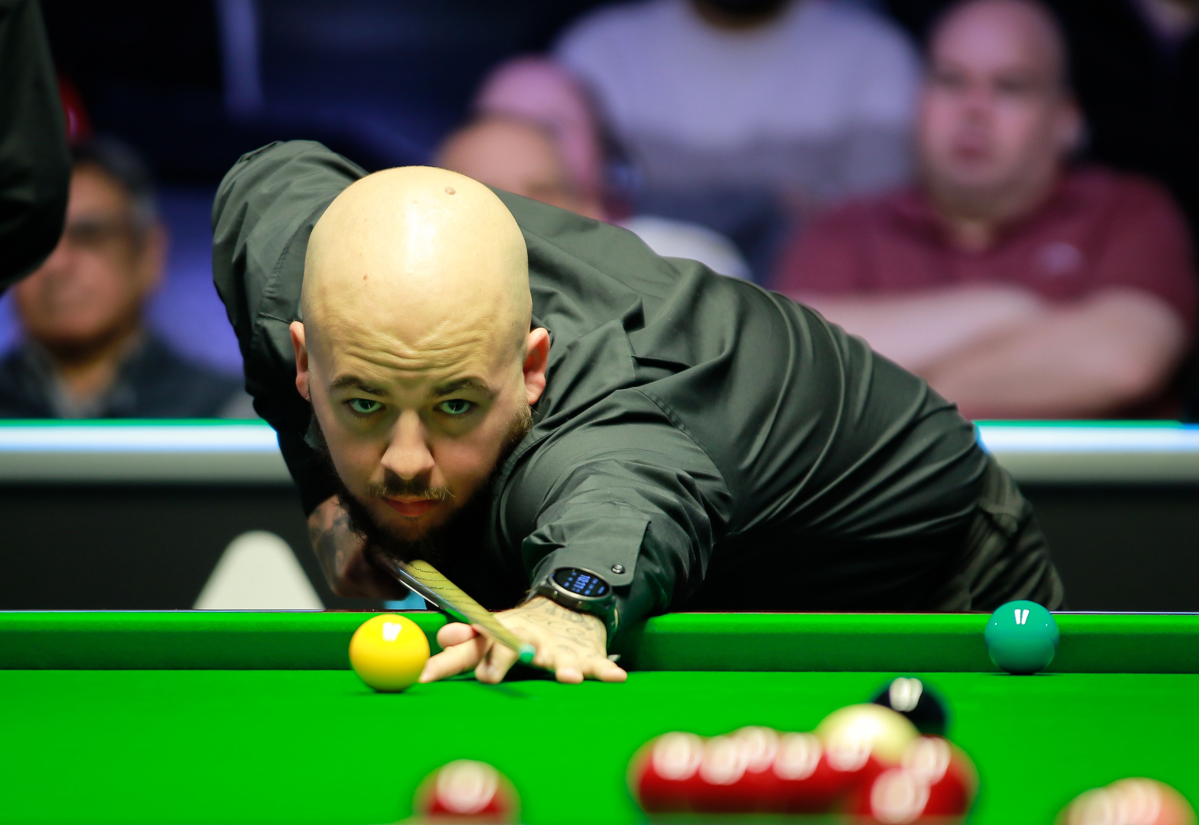 不僅是兩支 不僅是兩支