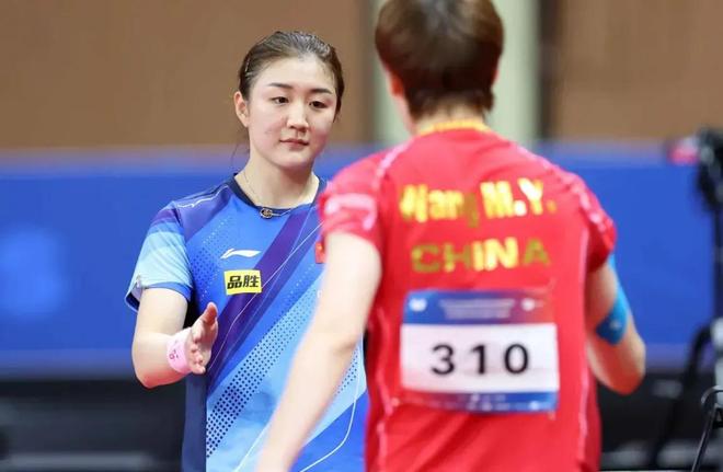 每年举办的 每年举办的